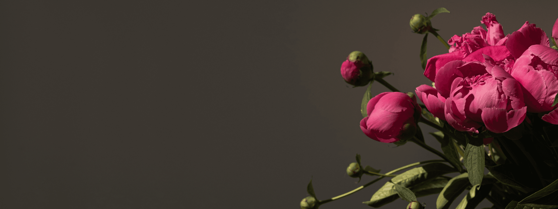 Banner Content Background