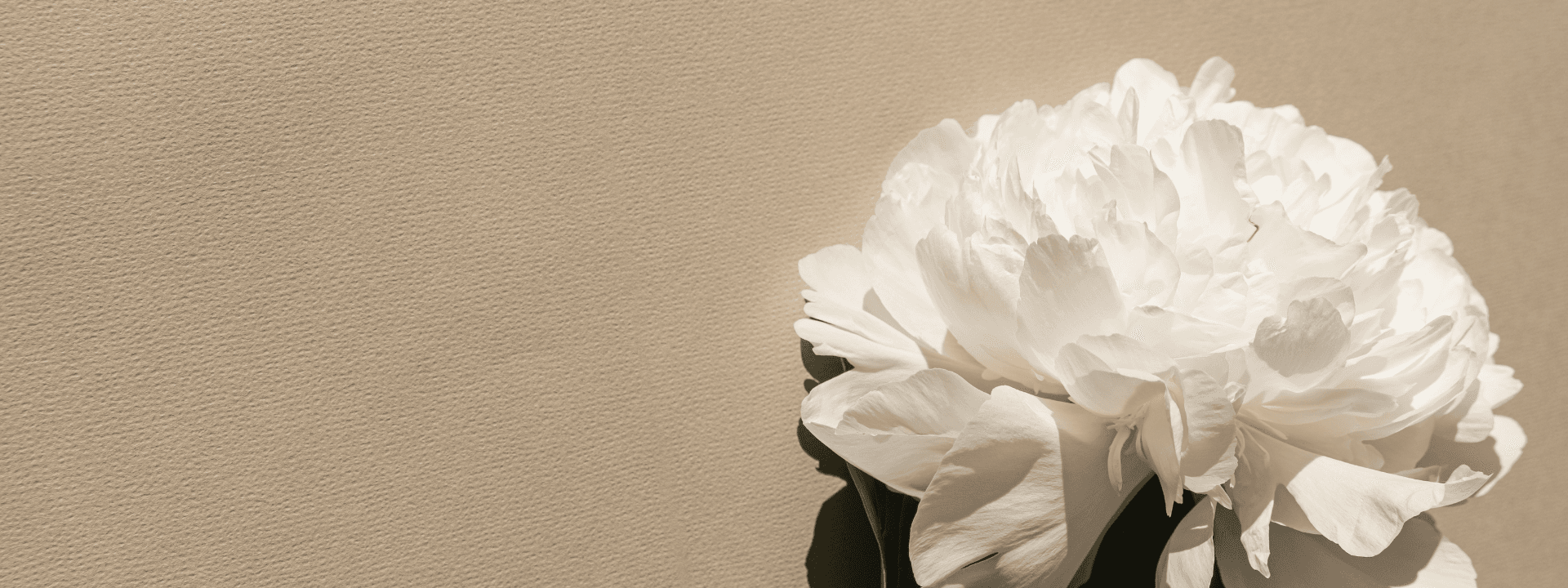 Banner Content Background