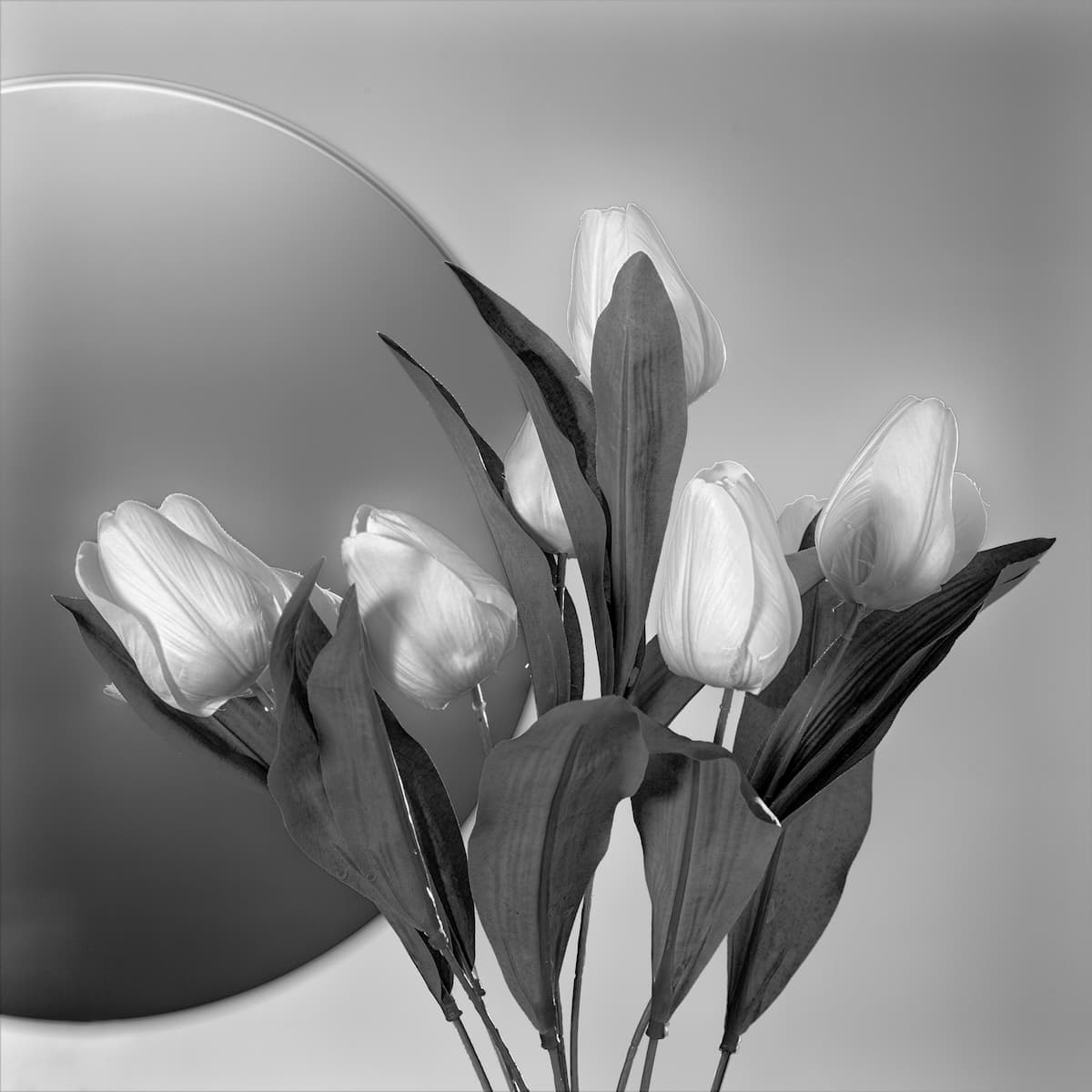Banner Default Background