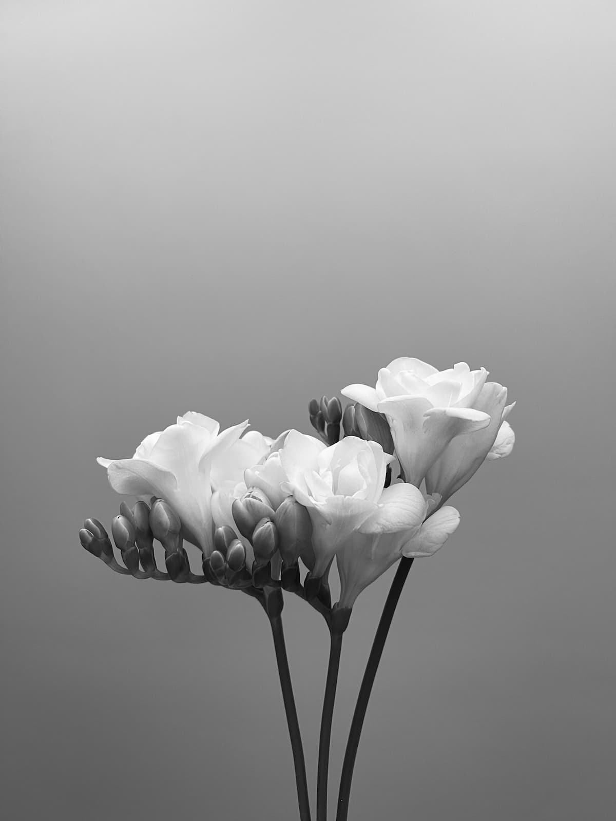 Banner Default Background