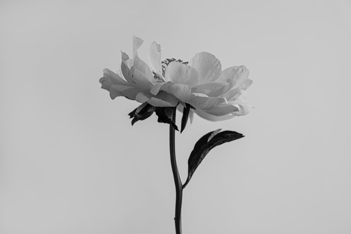 Banner Default Background