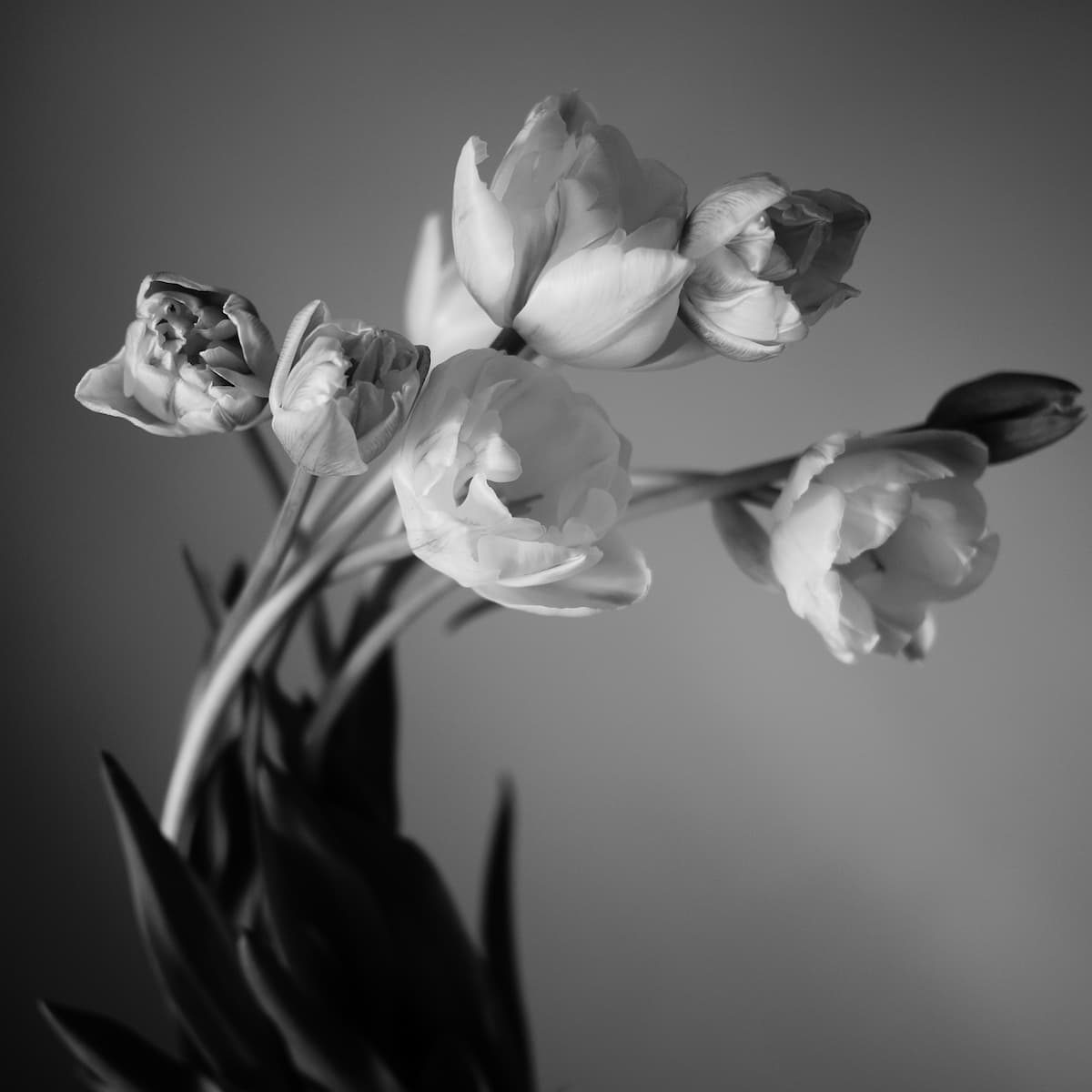 Banner Default Background